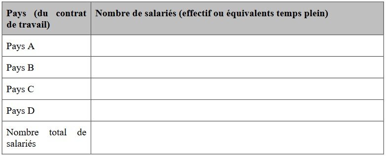 salariés ventilés par pays